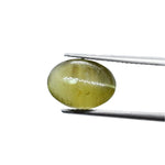 4.65ct Loose Chrysoberyl Cat’s Eye Gemstone | Ceylon Oval