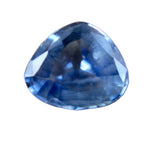 Unheated natural blue sapphire 0.77 carat trillion cut Ceylon loose gemstone