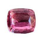 Natural Padparadscha Sapphire – 1.65 Carat Cushion Cut | Unheated Gemstone - Sapphire pal