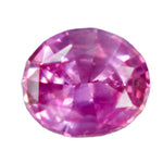 Natural Pink Sapphire – 1.56 Carat Oval Cut | Unheated Ceylon Gemstone - Sapphire pal