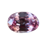 Natural Pink Sapphire 0.79ct Oval Cut from Ceylon — untreated eye clean, earth-sourced loose gemstone by Sapphire Pal Australia.