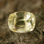 Natural Yellow Sapphire β Cushion Cut - Sapphirepal
