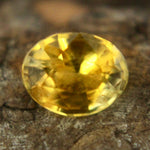 Natural Yellow Sapphire - Sapphirepal