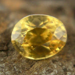 Natural Yellow Sapphire - Sapphirepal