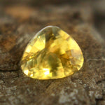 Natural Yellow Sapphire - Sapphirepal