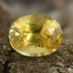 Natural Yellow Sapphire - Sapphirepal