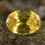 Natural Yellow Sapphire - Sapphirepal
