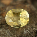 Natural Yellow Sapphire - Sapphirepal