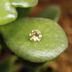 Natural Yellow Zircon - Sapphirepal