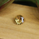 Natural Yellow Zircon - Sapphirepal