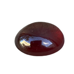 Natural Hessonite Garnet β 16.90 Carat | Cushion Cabochon Cut