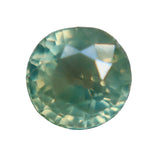0.58 Carat Natural Green Yellow Parti Sapphire – Unheated Madagascar Round Cut VS Loose Sapphire (Authenticity Confirmed) - Sapphirepal