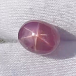 4.68 ct Natural Pink Star Sapphire – Unheated Ceylon Oval Cabochon - Sapphirepal