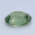 Untreated oval vanadium chrysoberyl showing golden color in warm light