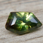 Natural Australian Parti Sapphire | Freeform Cut | 2.71 Carat - Sapphirepal