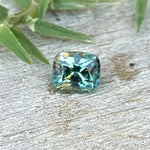 Natural Bi Colour Sapphire - Sapphirepal