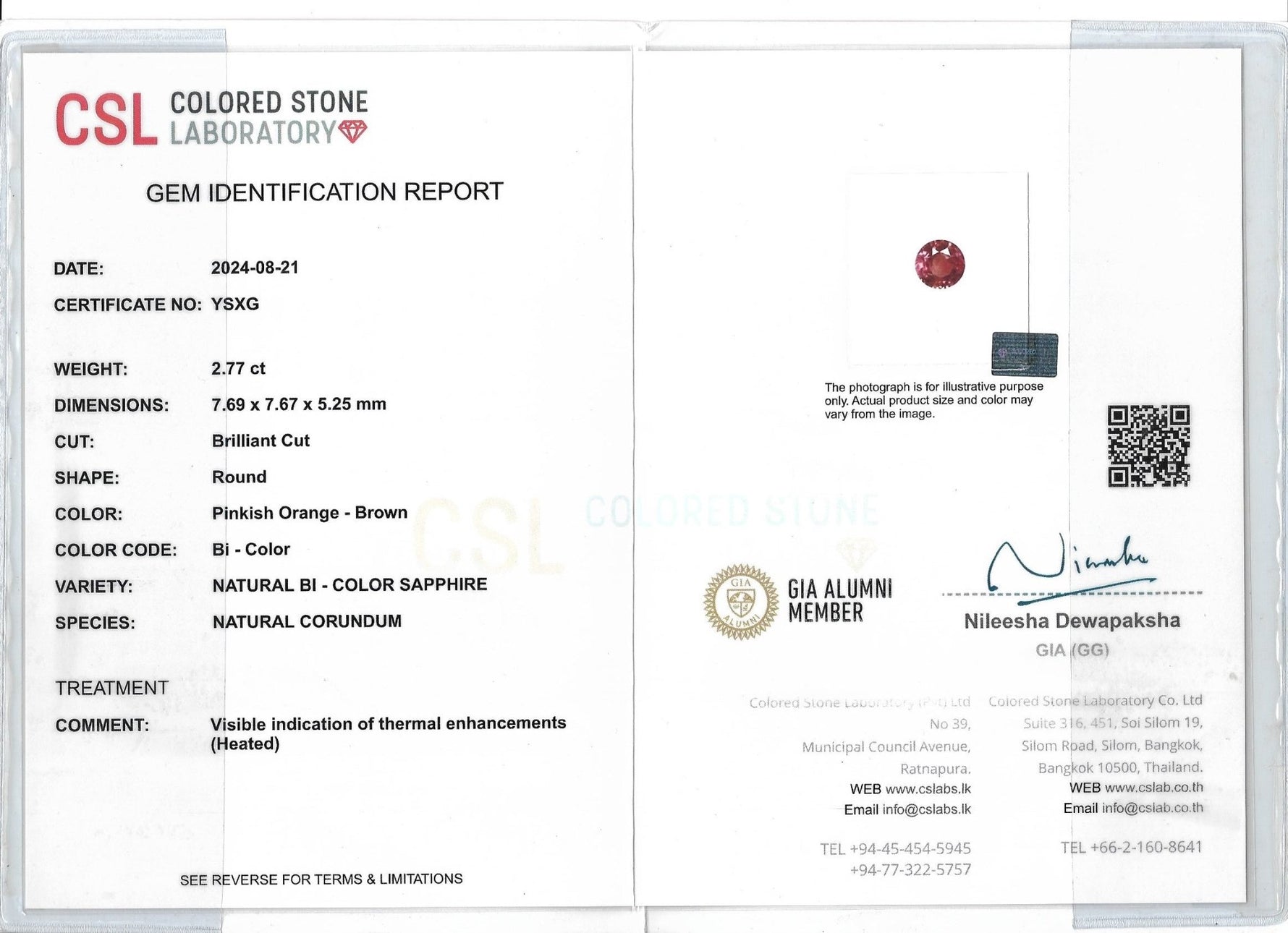 Natural Bi Coloured Sapphire - Sapphirepal