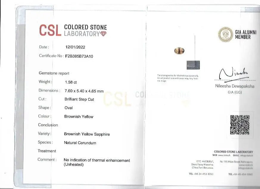 Natural Bi Coloured Sapphire - Sapphirepal