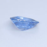 Natural Blue Sapphire (Heated) – 0.84 ct Trillion Cut Loose Ceylon Sapphire | SI - Sapphirepal