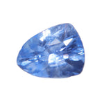 Natural Blue Sapphire (Heated) – 0.84 ct Trillion Cut Loose Ceylon Sapphire | SI - Sapphirepal