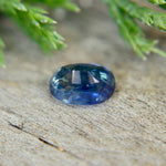 Natural Blue Sapphire - Sapphirepal