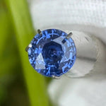 Natural Blue Sapphire - Sapphirepal