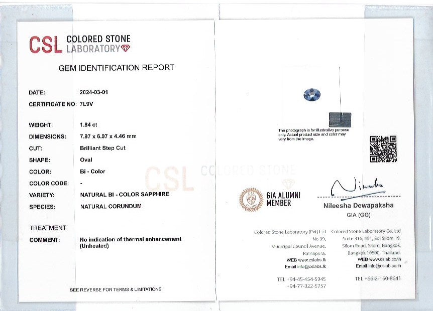 Natural Blue Yellow Sapphire - Sapphirepal