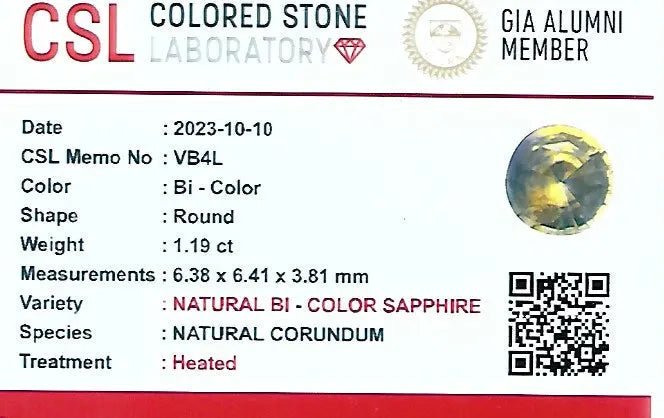 Natural Blue Yellow Sapphire - Sapphirepal