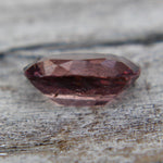 Natural Brown Sapphire - Sapphirepal