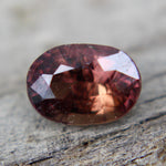 Natural Brown Sapphire - Sapphirepal