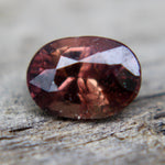 Natural Brown Sapphire - Sapphirepal