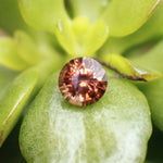 Natural Brown Zircon - 1.64Carat - Sapphirepal