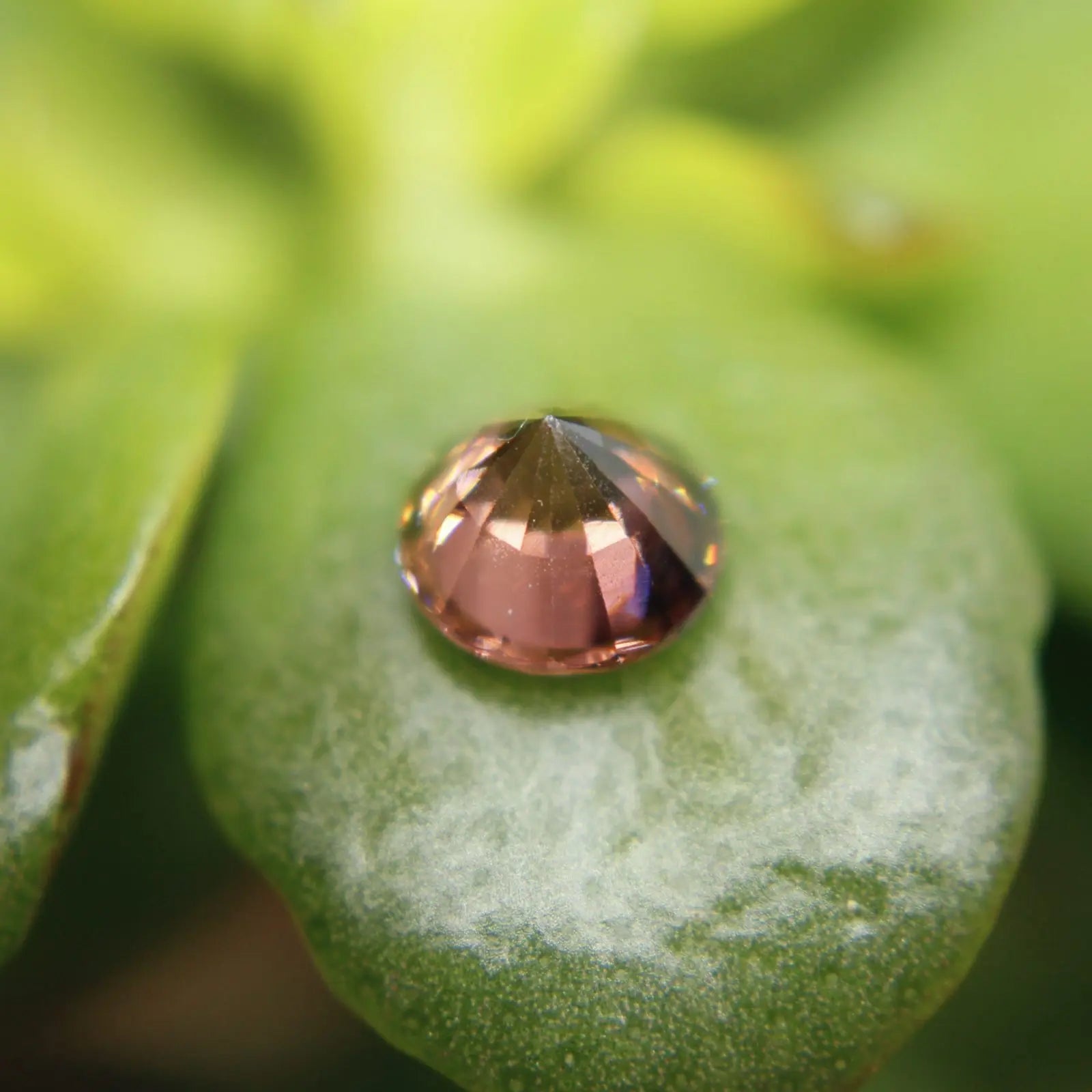 Natural Brown Zircon - 1.64Carat - Sapphirepal