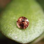 Natural Brown Zircon - 1.64Carat - Sapphirepal