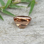 Natural Brown Zircon - Sapphirepal