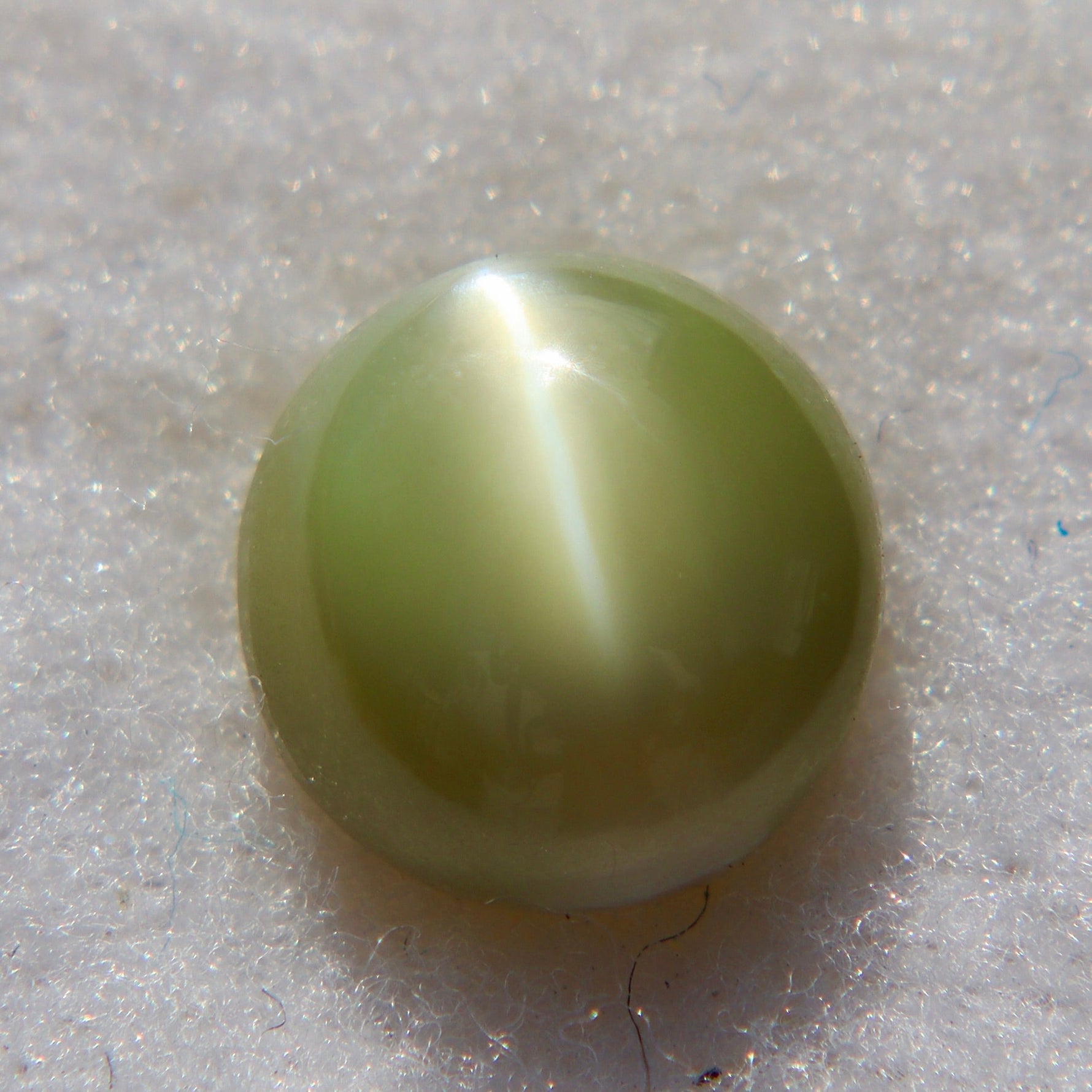 Natural Chrysoberyl Cat’s Eye – 2.21 Carat | Ceylon Origin - Sapphirepal