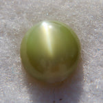 Natural Chrysoberyl Cat’s Eye – 2.21 Carat | Ceylon Origin - Sapphirepal