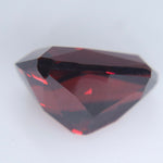 Natural Garnet 5.98ct Modified Shield Cut Ceylon Loose Gemstone - Sapphirepal