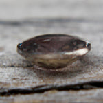 Natural Greenish Brown Sapphire - Sapphirepal