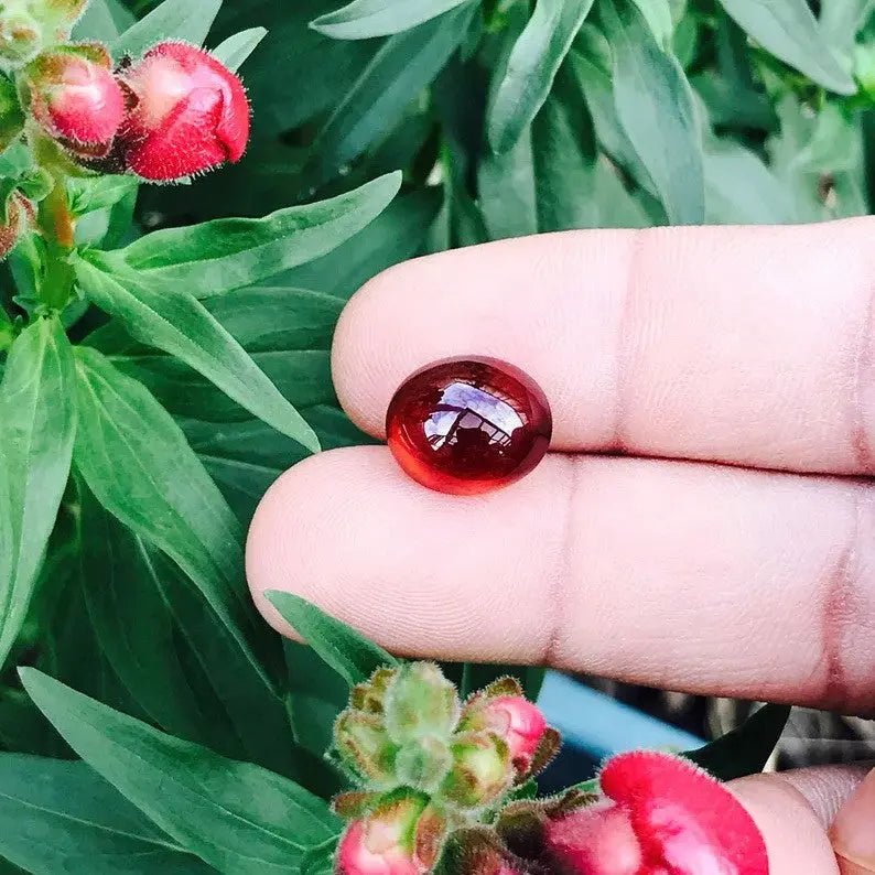 Natural Hessonite - Sapphirepal