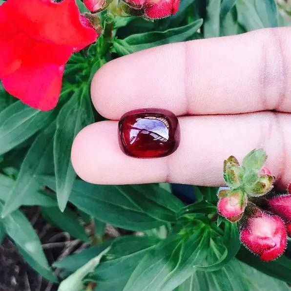 Natural Hessonite - Sapphirepal