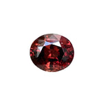 Natural Maroon Zircon – 6.40 Carat Oval Cut Untreated VVS Clarity Gemstone from Ceylon

