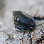 Natural Mixed Coloured Sapphire - Sapphirepal