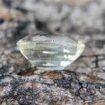 Natural Pale Yellow Sapphire - Sapphirepal