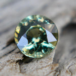 Natural Parti Sapphire – 0.87 Carat | Round, Unheated Gem - Sapphirepal