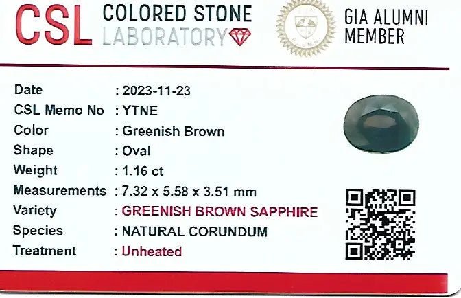 Natural Parti Sapphire – 1.16 Carat | Oval Cut | Unheated - Sapphirepal