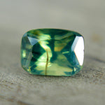 Natural Parti Sapphire – 1.30 Carat Cushion Cut | Unheated - Sapphirepal