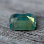 Natural Parti Sapphire - Sapphirepal