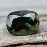 Natural Parti Sapphire - Sapphirepal