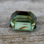 Natural Parti Sapphire - Sapphirepal